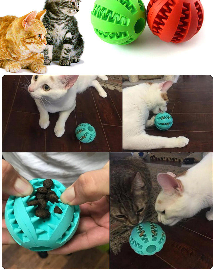 Treat Dispensing Teeth Cleaning Ball